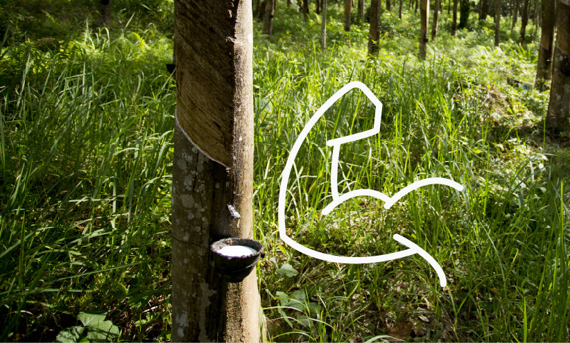 Natural rubber is stronger than plastic rubber